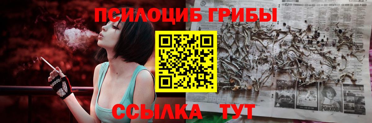 Галлюциногенные грибы мицелий Архангельск