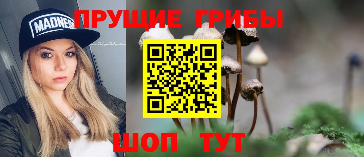 закладка  Псилоцибиновые грибы Magic Shrooms  Галлюциногенные грибы Cubensis  Вход с VPN  Архангельск 